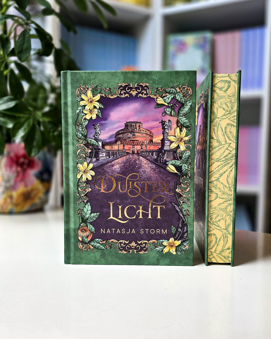 Duister Licht - Natasja Storm (So Many Pages-editie)